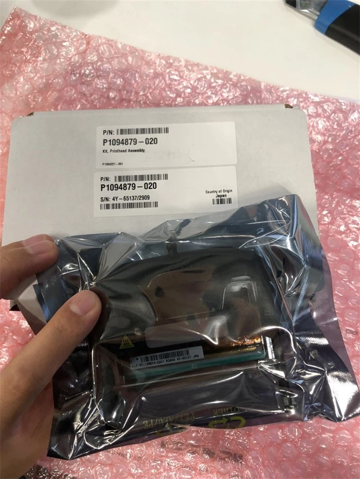 Zebra ZC300 300dpi P1094879-020 Capçal d'impressió